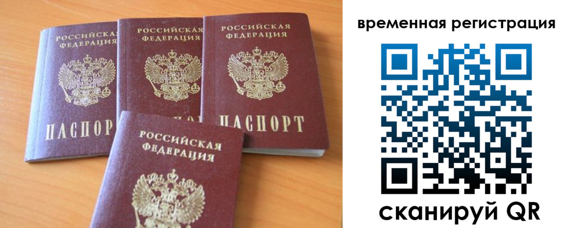 прописка для школы в Мытищах